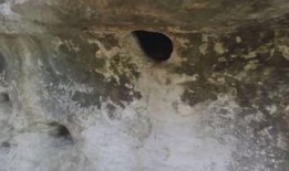 八脚怪完整版在线观看,揭秘神秘生物的完整版在线观看之旅